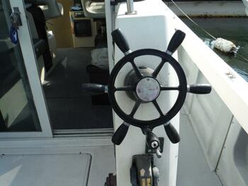 thumb_094705-yamaha-fg-36