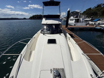 thumb_094718-yamaha-sf-31