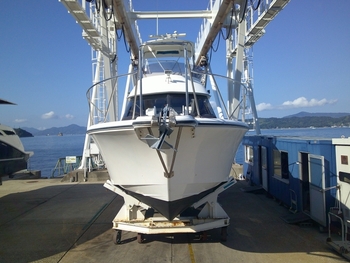 thumb_094747-yamaha-sf-35