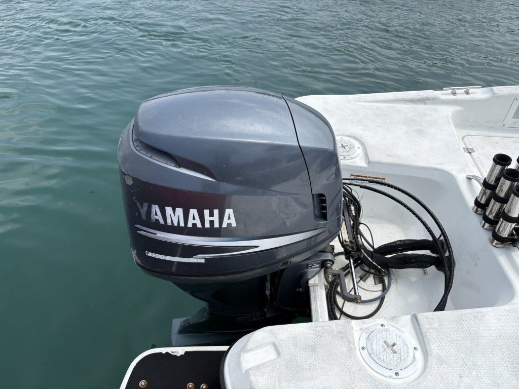 banner_094757-yamaha-ag-21