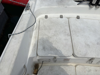 thumb_094757-yamaha-ag-21