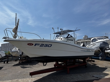 thumb_094776-suzuki-f230