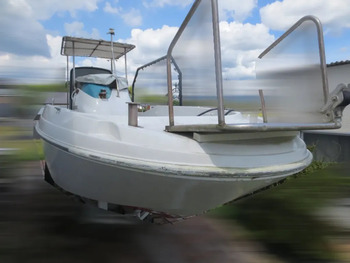 thumb_094783-yanmar-lf20z