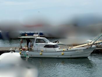 thumb_094789-yanmar-de30