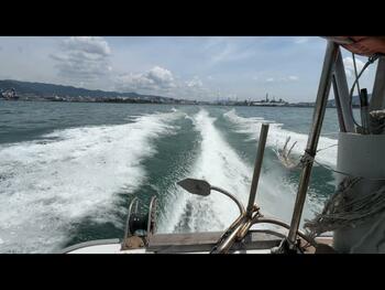 thumb_094789-yanmar-de30
