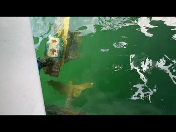thumb_094789-yanmar-de30
