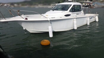 thumb_094806-yanmar-fx27z