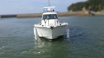 thumb_094806-yanmar-fx27z