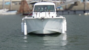 thumb_094806-yanmar-fx27z
