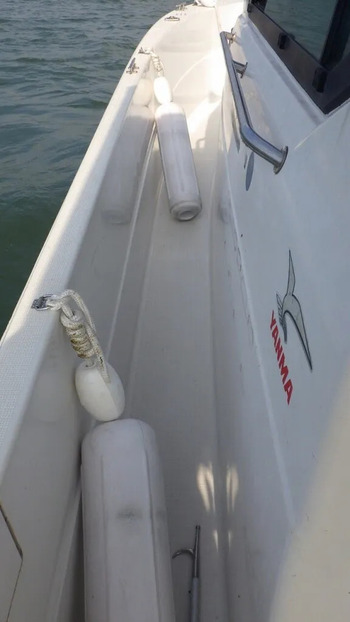 thumb_094806-yanmar-fx27z