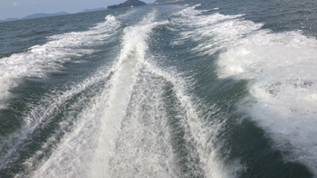 thumb_094806-yanmar-fx27z