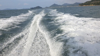 thumb_094806-yanmar-fx27z