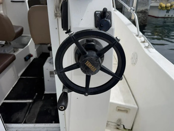 thumb_094804-yamaha-yfr-27