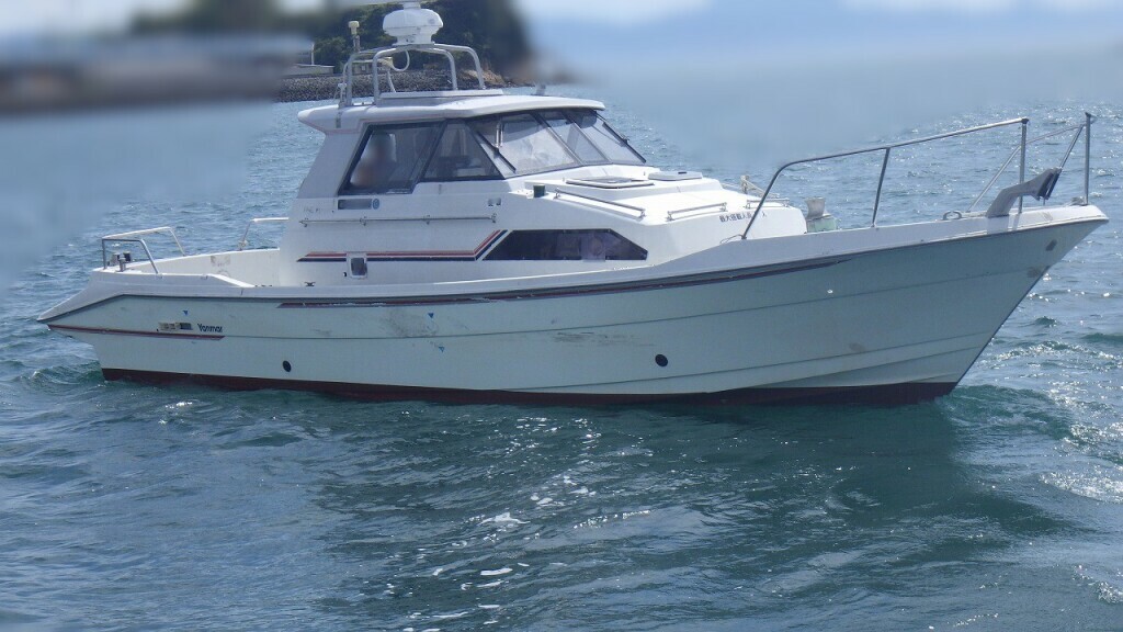 banner_094803-yanmar-ex32z