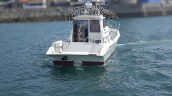 thumb_094803-yanmar-ex32z