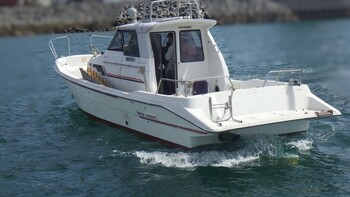 thumb_094803-yanmar-ex32z