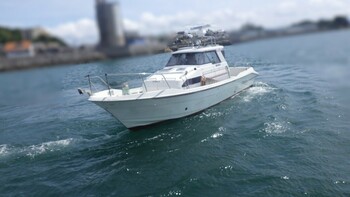 thumb_094803-yanmar-ex32z
