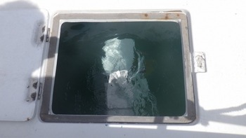 thumb_094803-yanmar-ex32z