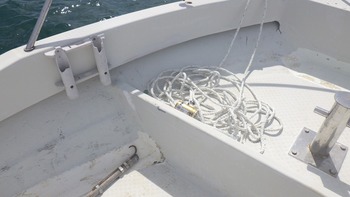 thumb_094803-yanmar-ex32z