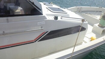 thumb_094803-yanmar-ex32z