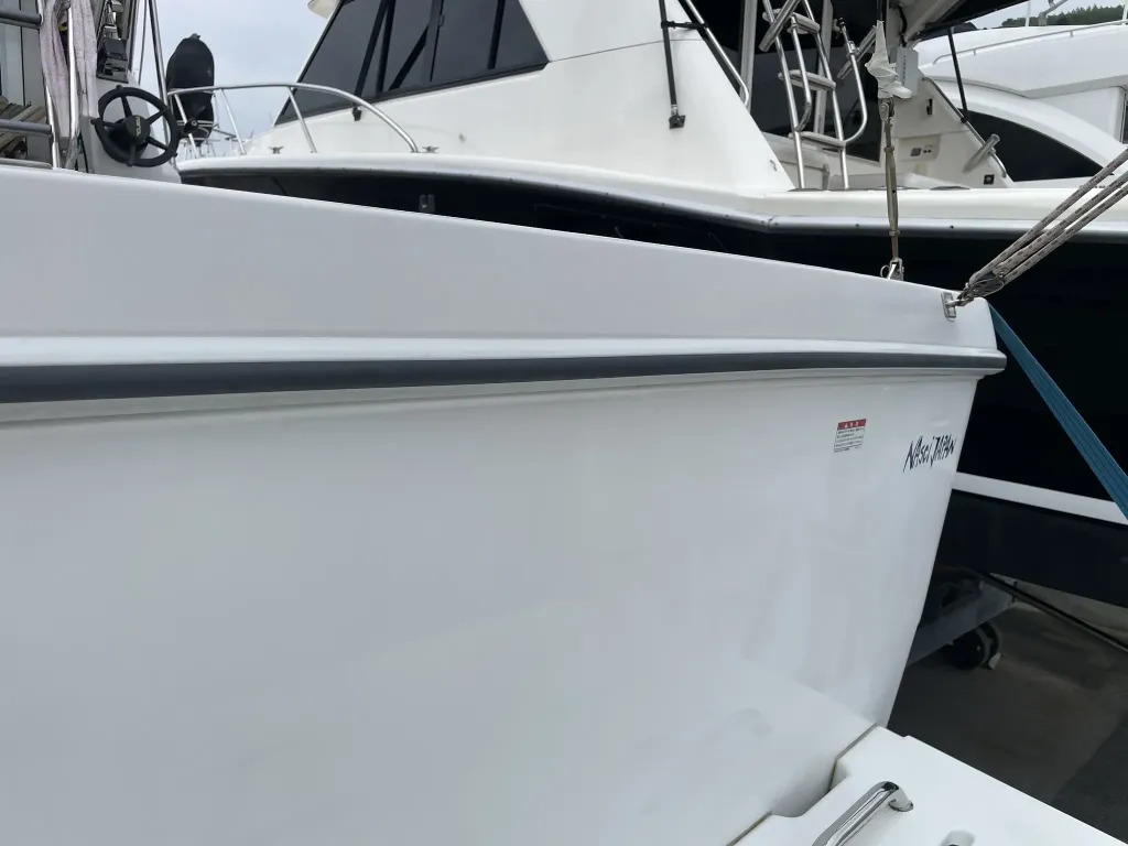 banner_094807-yanmar-ex33