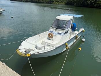 thumb_094826-yanmar-fx-24