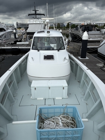 thumb_094850-yanmar-ex46