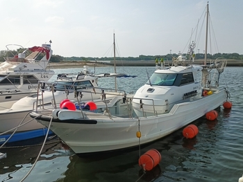 thumb_094848-yanmar-de43cf