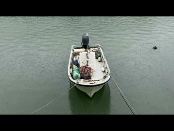 thumb_094890-yamaha-w-19