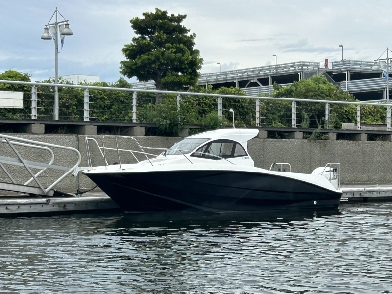 banner_094894-yamaha-yfr-24ex
