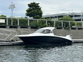 thumb_094894-yamaha-yfr-24ex