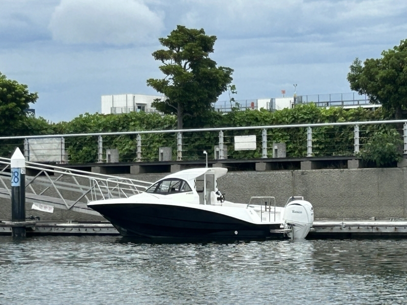 banner_094894-yamaha-yfr-24ex