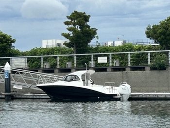 thumb_094894-yamaha-yfr-24ex