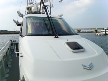 thumb_094923-yanmar-de43cf