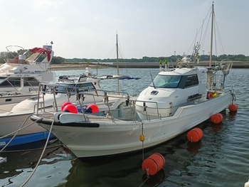 thumb_094923-yanmar-de43cf