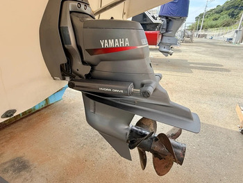 thumb_094938-yamaha-fc-31