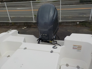thumb_094952-yamaha-f-a-s-t-26