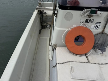 thumb_095009-yamaha-fishing-mate