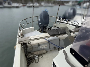 thumb_095009-yamaha-fishing-mate