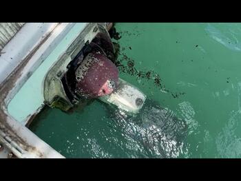 thumb_095018-yanmar-de30ez