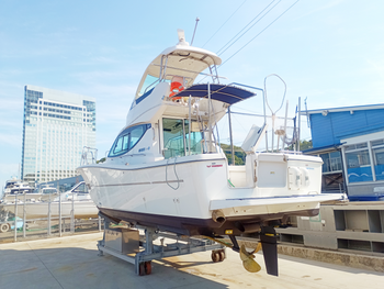 thumb_095020-yanmar-ex34fb