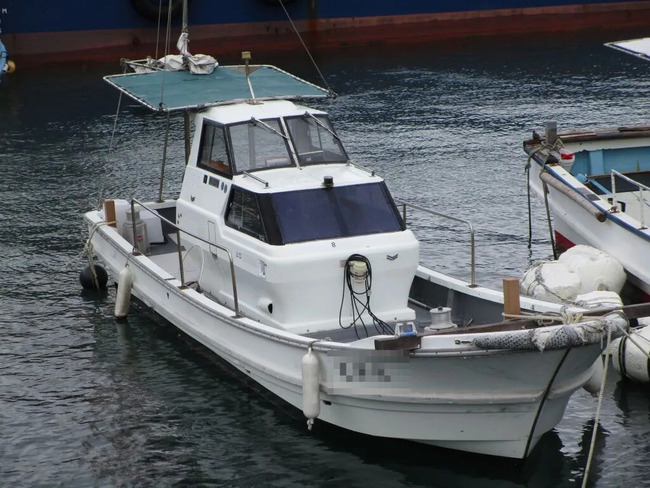 medium_095031-yanmar-de29b