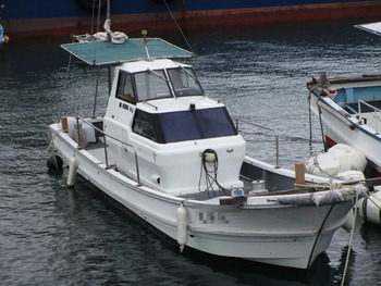 thumb_095031-yanmar-de29b