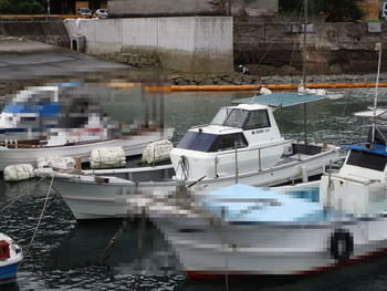 thumb_095031-yanmar-de29b