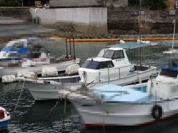 thumb_095031-yanmar-de29b