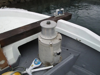 thumb_095031-yanmar-de29b