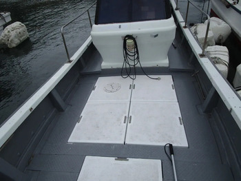 thumb_095031-yanmar-de29b