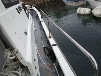 thumb_095031-yanmar-de29b