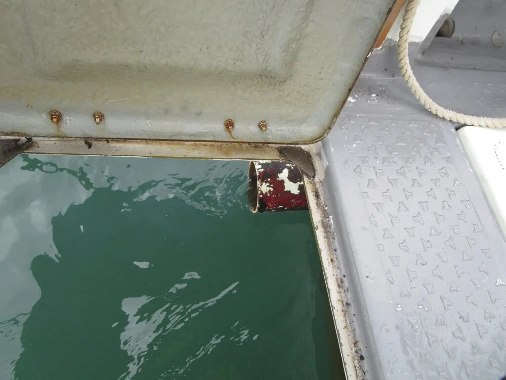 banner_095031-yanmar-de29b