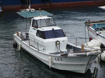 thumb_095031-yanmar-de29b